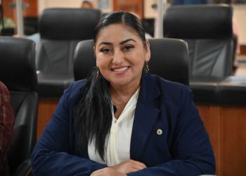 Los parques y espacios públicos deberán ser accesibles a las personas con discapacidad