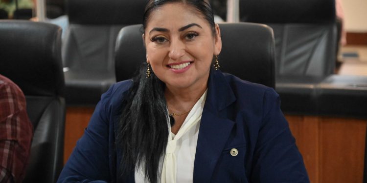Los parques y espacios públicos deberán ser accesibles a las personas con discapacidad; el pleno del Congreso aprobó hoy martes la iniciativa de la diputada Dalia Verónica Collins Mendoza, que destaca la importancia de la inclusión.