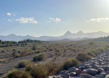 LORETO SE PREPARA PARA LA TEMPORADA DE HURACANES 2025: JUAN CARLOS CASTAÑEDA DAVIS