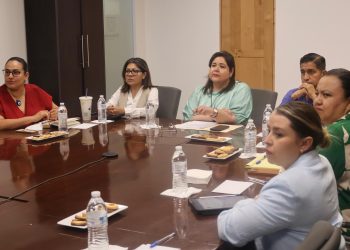 Trabaja BCS en una Guía Consultiva de Desempeño del INAFED