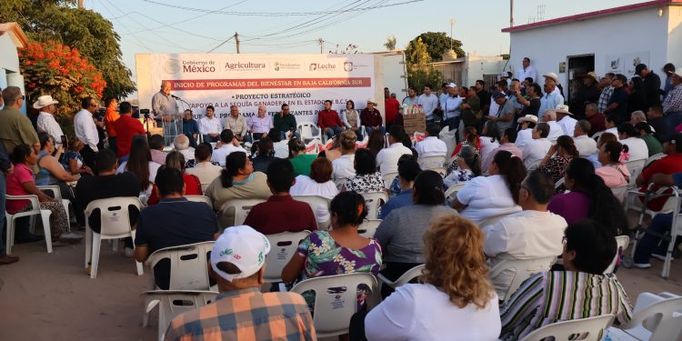 Con el objetivo de fortalecer el sector rural y brindar apoyo directo a los productores agrícolas y ganaderos en Baja California Sur, el gobernador Víctor Manuel Castro Cosío y el Subsecretario de Agricultura y Desarrollo Rural (SADER) en México, Leonel Cota Montaño, dieron inicio a los programas del bienestar en el estado. Acompañados por el alcalde de Comondú, Roberto Pantoja Castro, y productores del Valle de Santo Domingo, se emprendieron acciones como el apoyo a la ganadería en temporada de sequía con la entrega de fertilizantes y el programa de abasto social de leche.