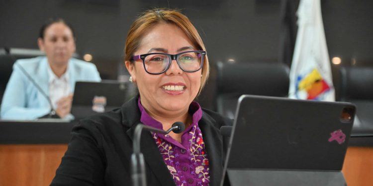 La diputada Teresita de Jesús Valentín Vázquez se pronunció en tribuna para que las autoridades atiendan problemáticas que se presentan en el distrito XIV.
