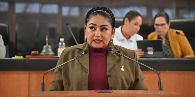 La diputada Dalia Collins presentó iniciativa para garantizar el acceso gratuito a información catastral a cualquier persona interesada en adquirir un terreno.