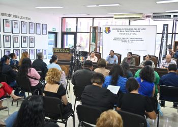 Presentan avances del protocolo de la consulta de la Ley de Atención a Personas del Espectro Autista de BCS