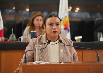 Propone la diputada Guadalupe Vázquez incluir el derecho a la salud mental en la constitución de BCS
