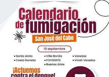 Iniciará este viernes el ciclo de fumigación contra el mosco transmisor del dengue en Los Cabos