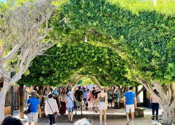 LORETO DA LA BIENVENIDA A LA TEMPORADA DE CRUCEROS CON EL ARRIBO DEL “MV KONINGSDAM”