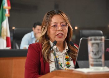 Que transporte de doble remolque circulen solo en horarios nocturnos, propone la diputada Teresita Valentín