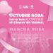 LORETO SE UNE A LA GRAN CAUSA MUNDIAL DE CONCIENTIZACIÓN Y LUCHA CONTRA EL CÁNCER DE MAMA.