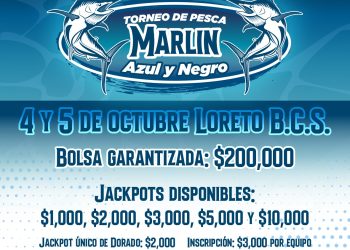 LORETO SE PREPARA PARA EL GRAN TORNEO DE MARLÍN AZUL Y NEGRO CON UNA BOLSA GARANTIZADA DE $200,000