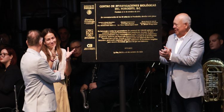 En el marco del 50 aniversario del Centro de Investigaciones Biológicas del Noroeste, S.C. (CIBNOR), el gobernador del estado, Víctor Manuel Castro Cosío, destacó el papel esencial que ha desempeñado esta institución en el desarrollo científico, social y productivo de Baja California Sur. Durante la ceremonia realizada en el Teatro de la Ciudad, el mandatario subrayó que el CIBNOR ha sido un referente en la generación de conocimiento y en la aplicación de la ciencia para el bienestar de las y los sudcalifornianos. Llamó a su comunidad científica a mantener el compromiso de aplicar la investigación en beneficio del desarrollo del estado y del país. Al finalizar el evento, el gobernador Víctor Castro Cosío develó la placa por los 50 años del CIBNOR, fundado el 21 de octubre de 1975, y reconoció a Alfredo Clayton Hernández por haber obtenido el primer lugar en la convocatoria para la creación del himno institucional del CIBNOR