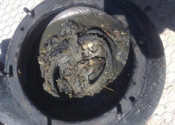 INSPECCIONARÁ OOMSAPA LORETO QUE HOTELES Y RESTAURANTES CUENTAN CON TRAMPAS DE GRASAS