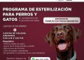 LLAMA ALCALDESA PAZ OCHOA A LA TENENCIA RESPONSABLE DE MASCOTAS CON LA NUEVA JORNADA DE ESTERILIZACIÓN GRATUITA EN LORETO