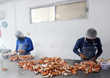 Consolida SEPADA el ordenamiento pesquero y acuícola en BCS