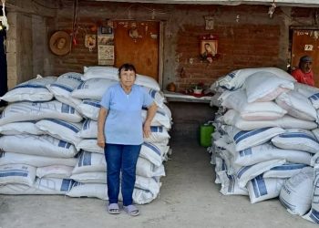 Garantiza Gobierno de BCS apoyo permanente al sector ganadero ante la sequía