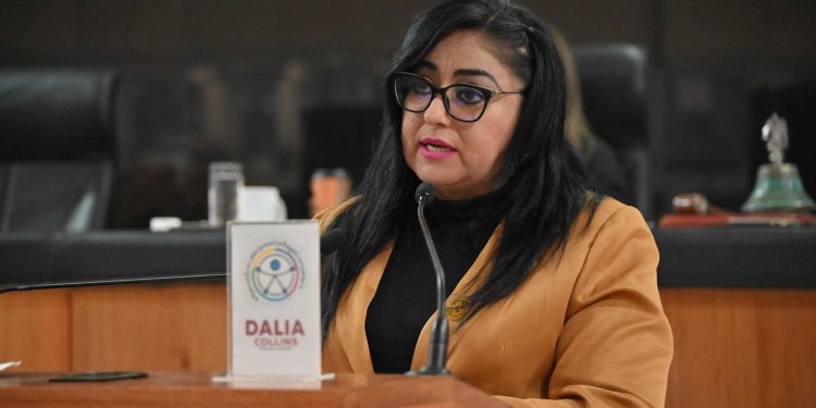 Impulsan Ley para la Atención, Protección e Inclusión de Personas con Autismo en BCS.