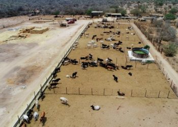 SEPADA impulsa acciones para fortalecer al sector primario en Los Cabos