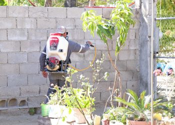 Realiza Salud BCS acciones de prevención y control del dengue