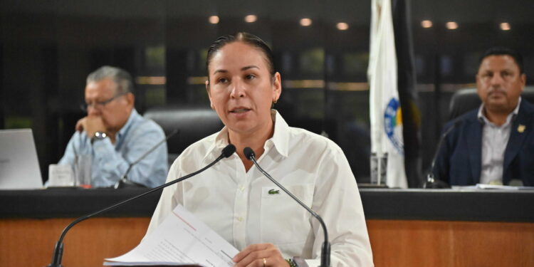 La diputada Alondra Torres(PT) propuso armonizar la Ley de Fomento Económico de BCS para incluir incentivos para empresas que otorguen empleo directo a personas con discapacidad, adultos mayores, personas de la diversidad sexual y afromexicanas.