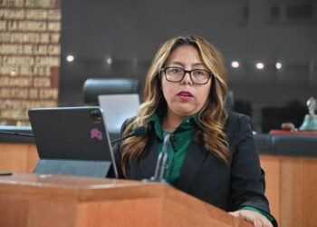 Mecanismos de flexibilidad laboral para madres y padres trabajadores del servicio público: Diputada Teresita Valentín