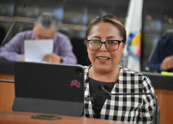 Propone diputada Teresita Valentín tipificar y castigar el abuso de custodia tecnológica e invasión a la intimidad digital