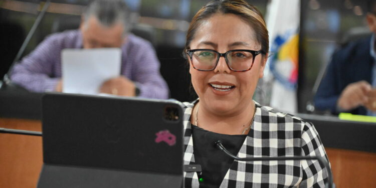 La diputada Teresita Valentín propuso tipificar y castigar el abuso de custodia tecnológica e invasión a la intimidad digital mediante reformas al Código Penal de BCS.