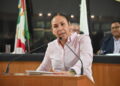 Propone diputada Alondra Torres blindar la representación de acciones afirmativas en candidaturas