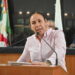 Propone diputada Alondra Torres blindar la representación de acciones afirmativas en candidaturas