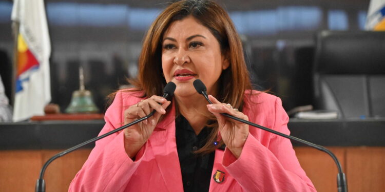 La diputada María Cristina Contreras Rebollo (MORENA) presentó ante el pleno del Congreso del Estado una iniciativa que busca reformar y adicionar la Ley de Educación del Estado de Baja California Sur, con el objetivo de fortalecer la atención y prevención del bullying y la violencia escolar.