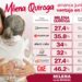 Morena y Milena Quiroga se mantienen a la cabeza en diversas encuestas.
