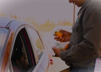 Gobierno de BCS trabaja en acciones para salvaguardar la sanidad vegetal