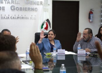 Aprueba Consejo de Paz y Justicia Cívica de BCS Plan de Acción 2026-2027