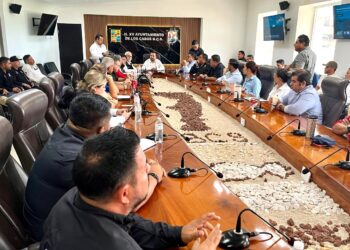 Imparten Coordinación Nacional y Subsecretaría de Protección Civil de BCS, taller de gestión de refugios temporales