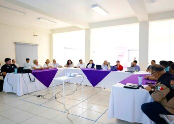 ENCABEZA PAZ OCHOA AMADOR MESA VIOLETA PARA FORTALECER LA COORDINACIÓN INSTITUCIONAL EN FAVOR DE LA SEGURIDAD Y LOS DERECHOS DE LAS MUJERES