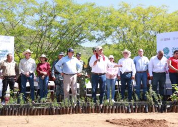 BCS se suma a Jornada Nacional de Reforestación para fortalecer la conservación ambiental