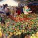 Gobierno Municipal de La Paz invita a celebrar el XVII Festival del Mango en Todos Santos