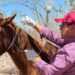 Productores pecuarios de La Paz reciben apoyos gratuitos de medicina veterinaria