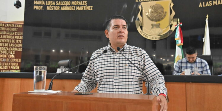El diputado Christian Fabrizio del Castillo Miranda propuso al pleno reformas para establecer la obligatoriedad de implementar programas permanentes, transversales y de cobertura prioritaria en materia de salud mental, con especial énfasis en la niñez y la juventud.