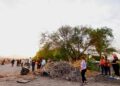 RETIRA AYUNTAMIENTO DE LORETO MÁS DE DIEZ TONELADAS DE BASURA EN JORNADA DE LIMPIEZA
