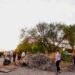 RETIRA AYUNTAMIENTO DE LORETO MÁS DE DIEZ TONELADAS DE BASURA EN JORNADA DE LIMPIEZA