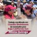 TRABAJO COORDINADO CON CLAUDIA SHEINBAUM DA RESULTADOS PARA BAJA CALIFORNIA SUR: MILENA QUIROGA
