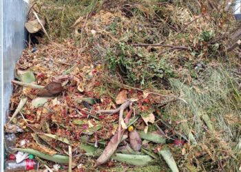 LORETO TRANSFORMA RESIDUOS VEGETALES EN ABONO Y FORTALECE ACCIONES DE SUSTENTABILIDAD