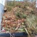 LORETO TRANSFORMA RESIDUOS VEGETALES EN ABONO Y FORTALECE ACCIONES DE SUSTENTABILIDAD