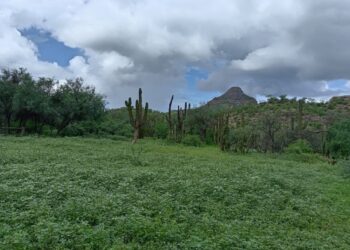 LA SIERRA REVERDECE Y RENACE LA ESPERANZA EN LAS COMUNIDADES RURALES DE LORETO