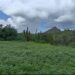 LA SIERRA REVERDECE Y RENACE LA ESPERANZA EN LAS COMUNIDADES RURALES DE LORETO